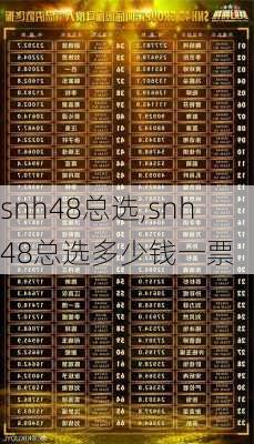 snh48总选,snh48总选多少钱一票
